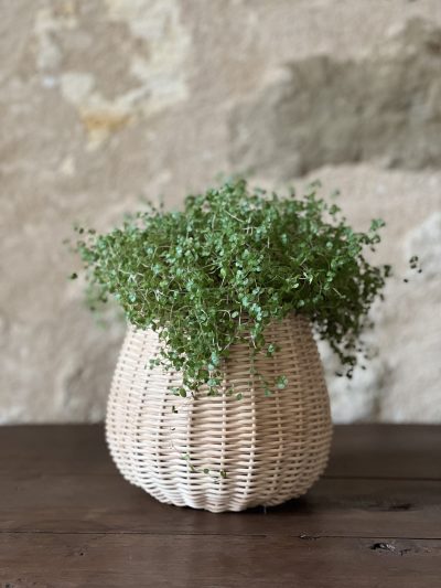 cache pot fait à la main en rotin avec une plante à l'intérieur posé sur une table en bois devant un mur en pierre naturelle